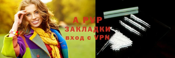 apvp Алексин