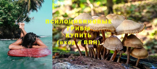 кокаин премиум Алексеевка